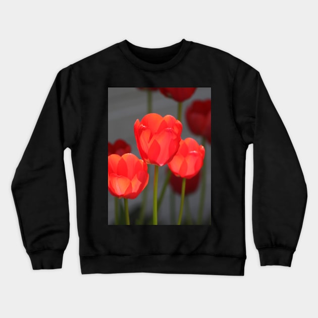 Flowerpower tulip Crewneck Sweatshirt by OVP Art&Design